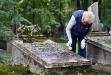 Фото - КГИОП показывает, как чистили и мыли могилы на Смоленском лютеранском кладбище