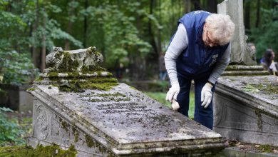 Фото - КГИОП показывает, как чистили и мыли могилы на Смоленском лютеранском кладбище